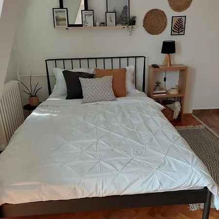 Be My Guest Novi Sad